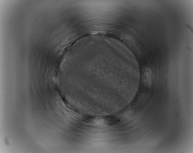X0000099470604200805231832