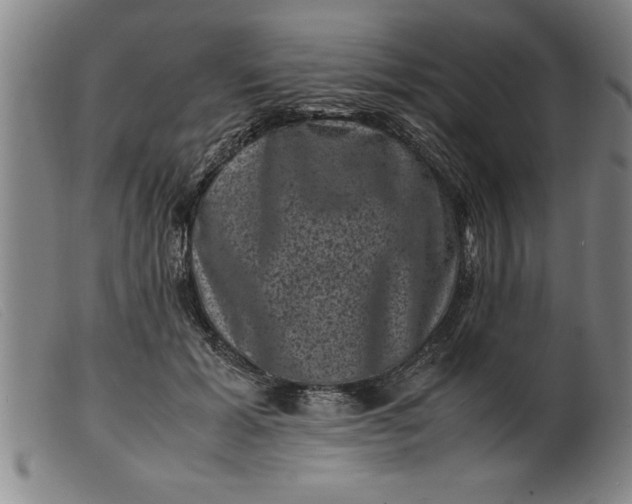 X0000099470605200805231832