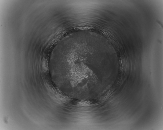 X0000099470606200805231832