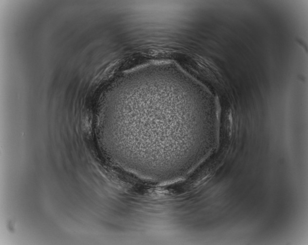 X0000099470607200805231832