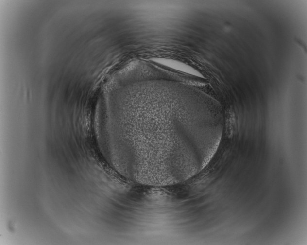 X0000099470608200805231832