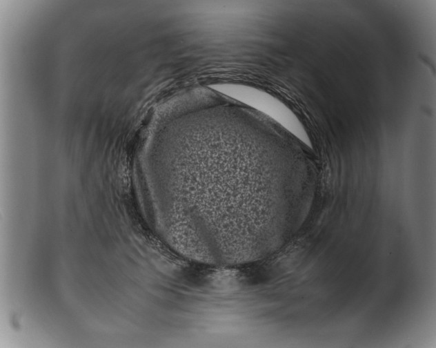 X0000099470609200805231832