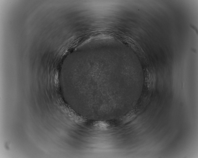 X0000099470610200805231832