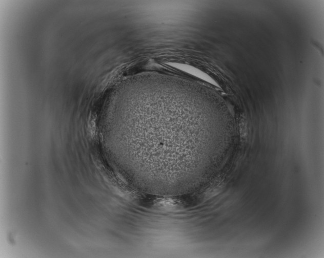 X0000099470611200805231832
