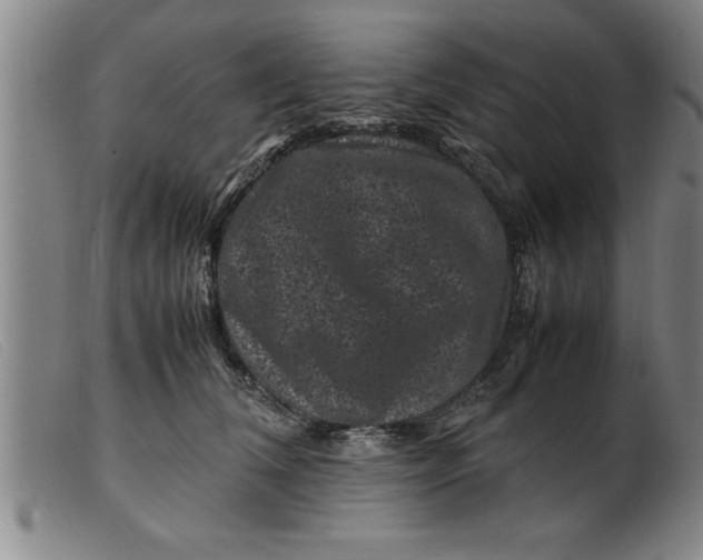 X0000099470612200805231832