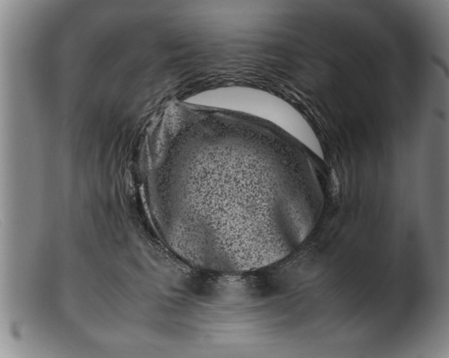 X0000099470613200805231832