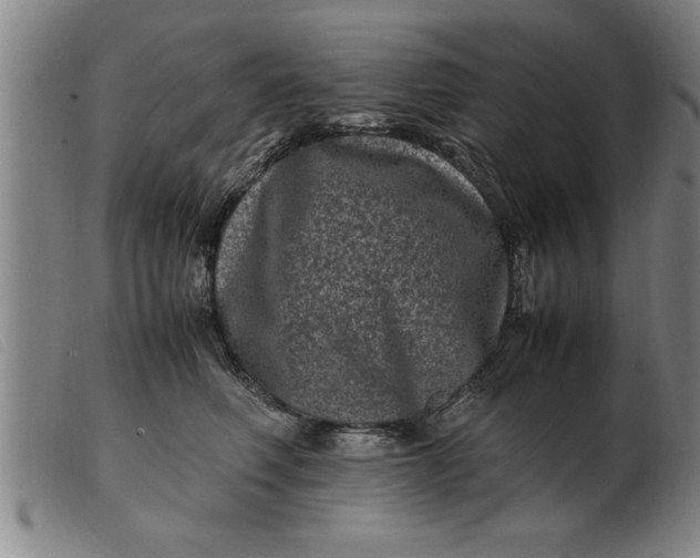X0000099470614200805231832