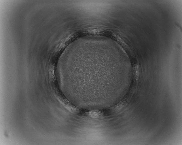 X0000099470615200805231832