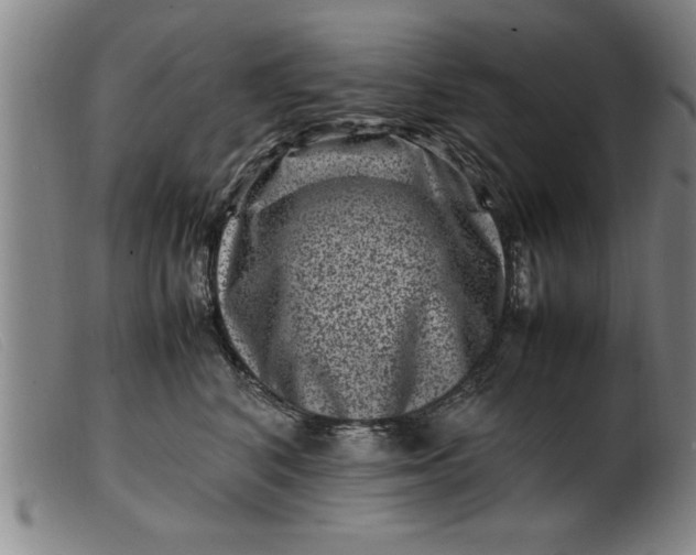X0000099470616200805231832