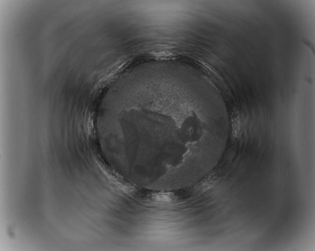 X0000099470618200805231832