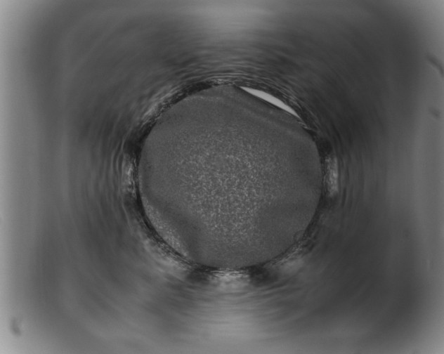 X0000099470619200805231832