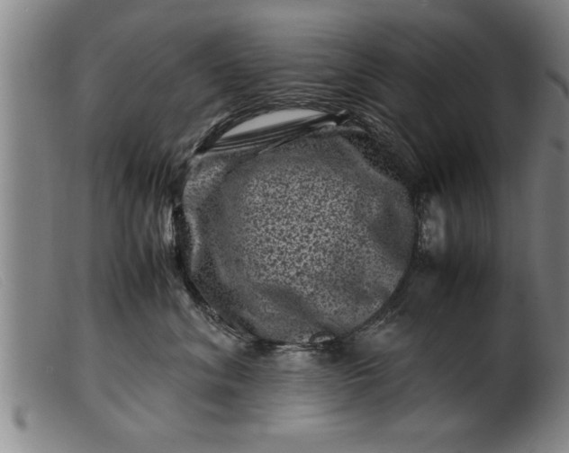 X0000099470620200805231832