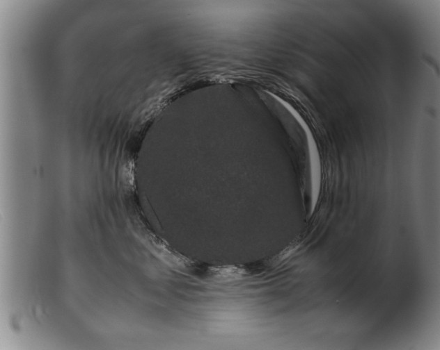 X0000099470621200805231832
