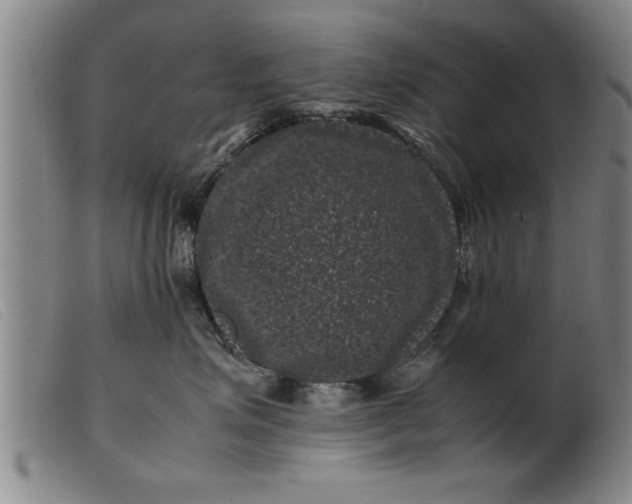 X0000099470623200805231832