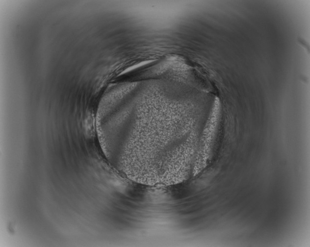 X0000099470624200805231832