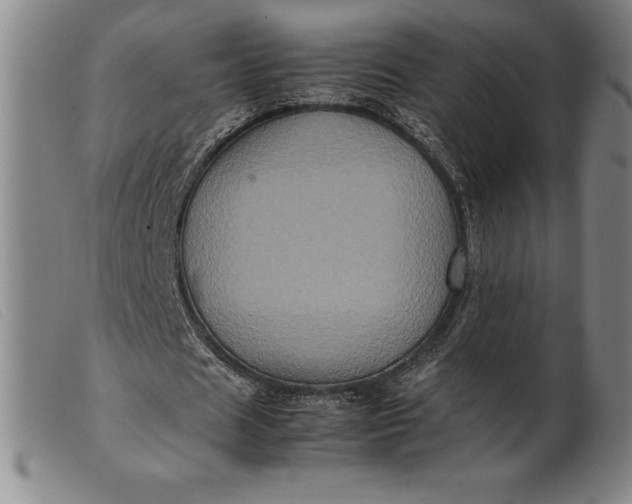 X0000099470625200805231831