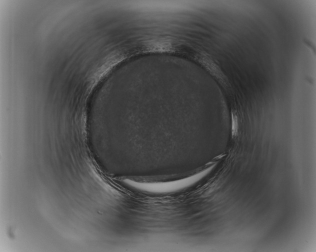 X0000099470627200805231831