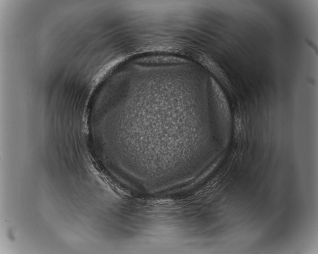 X0000099470628200805231831