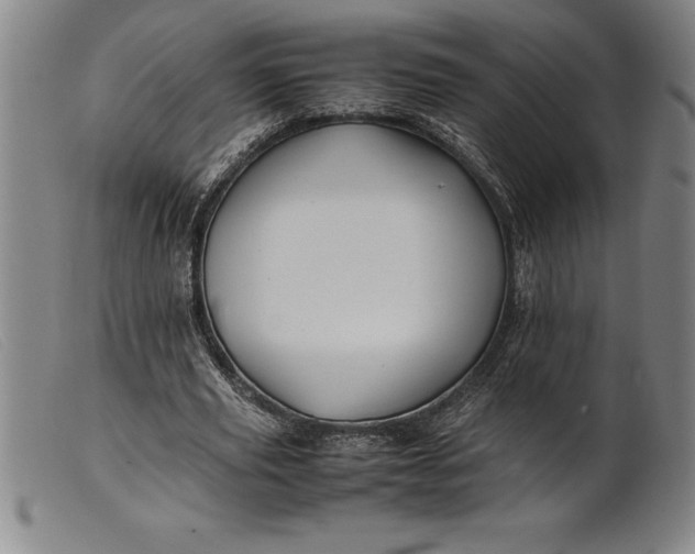 X0000099470629200805231831