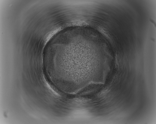 X0000099470630200805231831