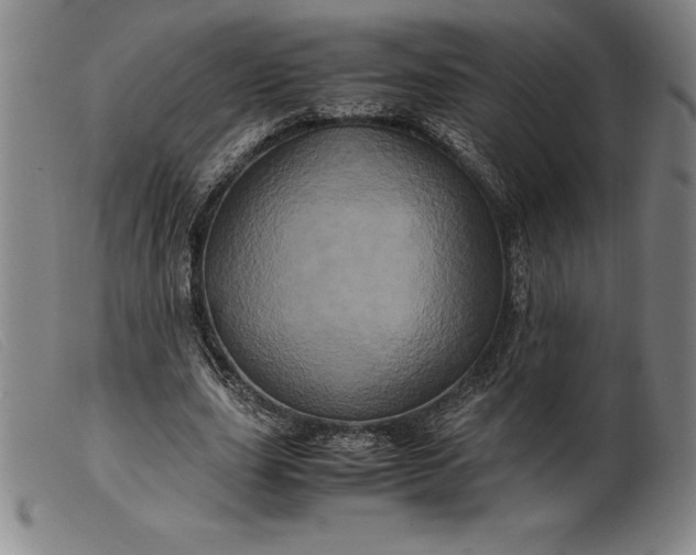 X0000099470631200805231831