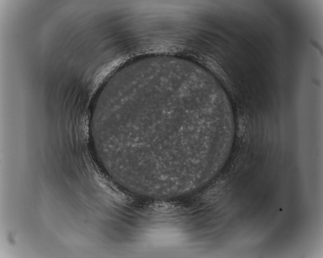 X0000099470632200805231831