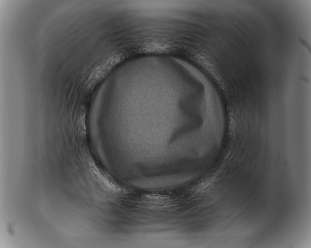 X0000099470633200805231831