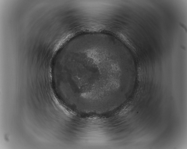 X0000099470634200805231831