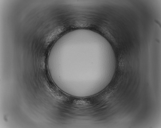 X0000099470635200805231831