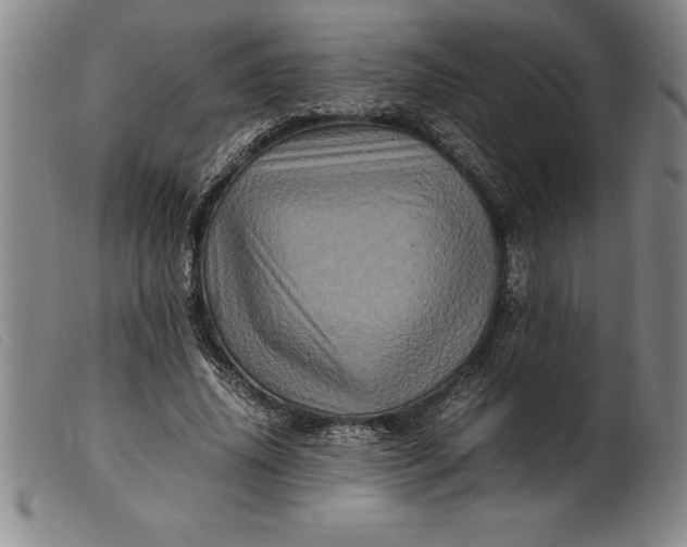X0000099470636200805231831