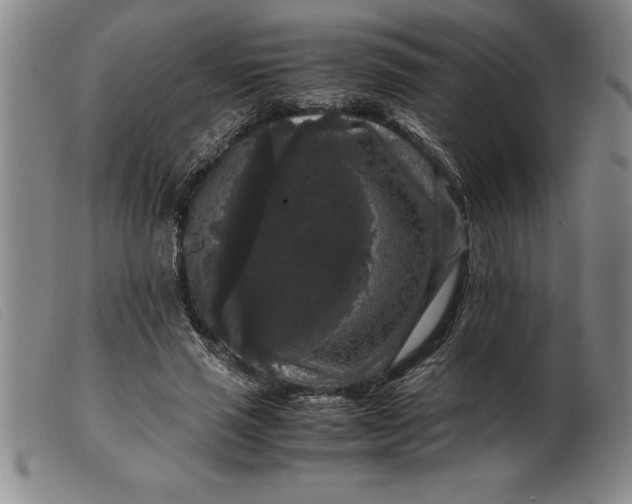 X0000099470637200805231831