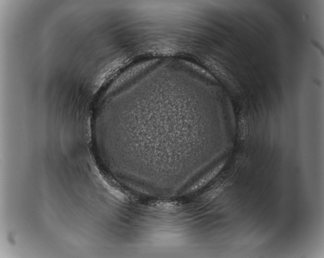X0000099470638200805231831