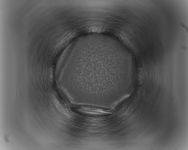 X0000099470639200805231831