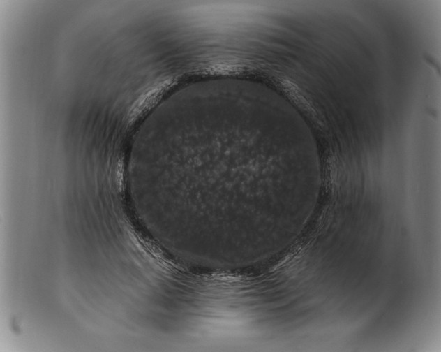 X0000099470640200805231831