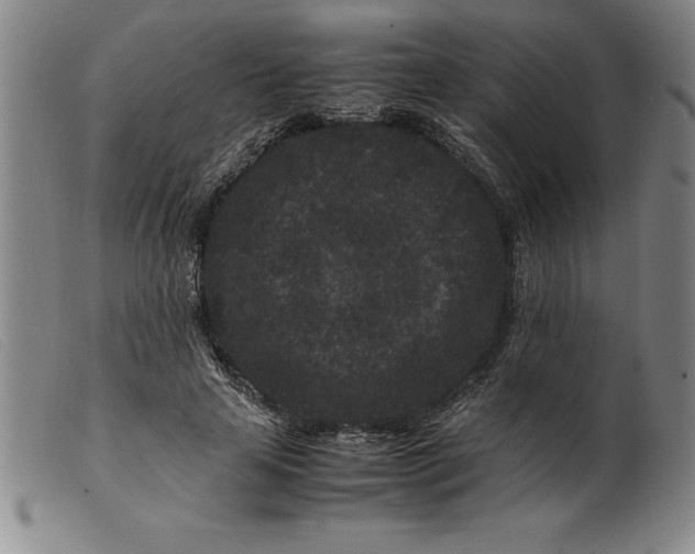 X0000099470641200805231831