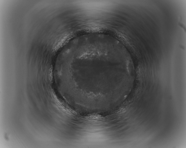 X0000099470642200805231831