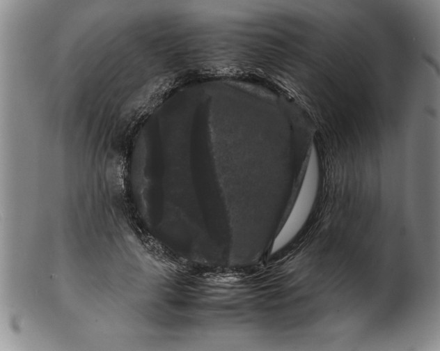 X0000099470643200805231831