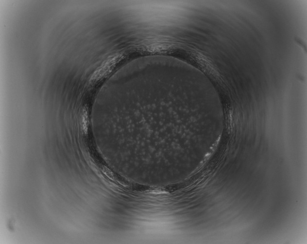 X0000099470644200805231831