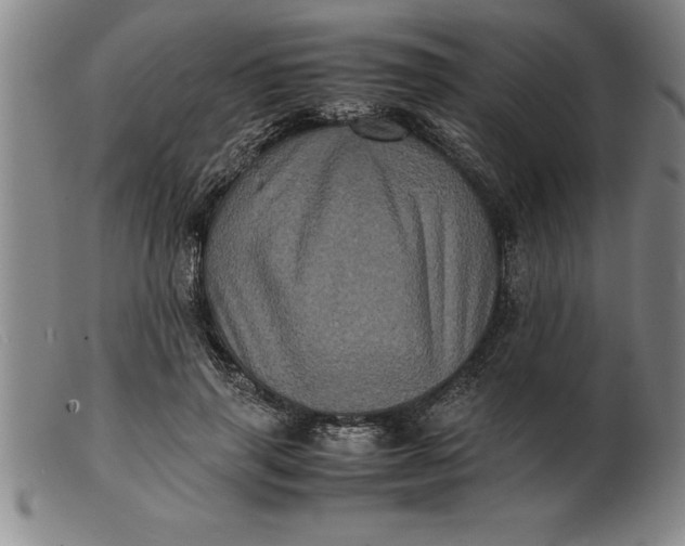 X0000099470645200805231831