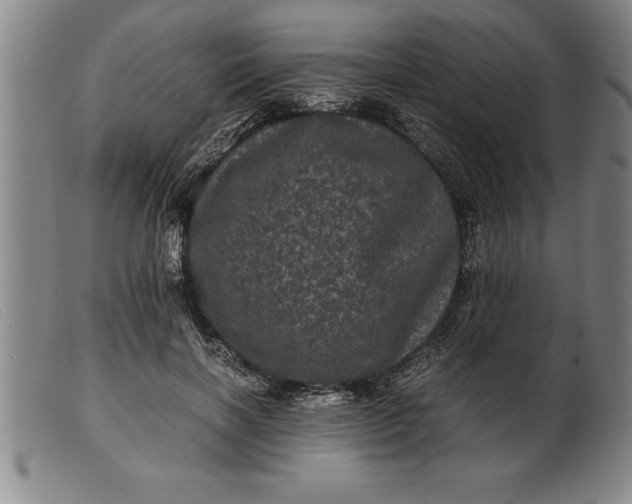 X0000099470646200805231831