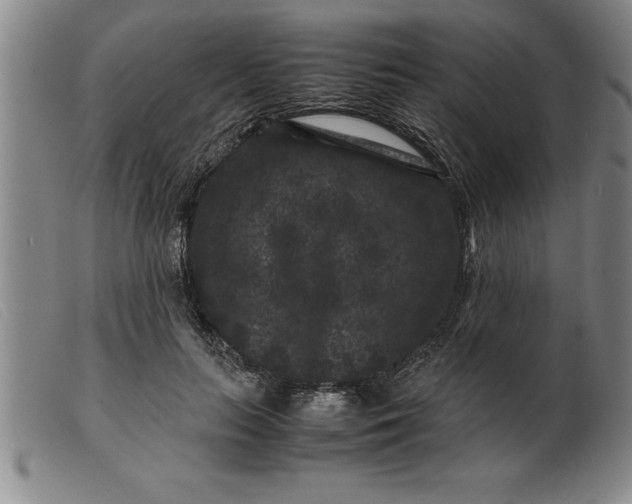 X0000099470647200805231831