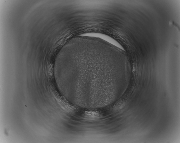 X0000099470649200805231831