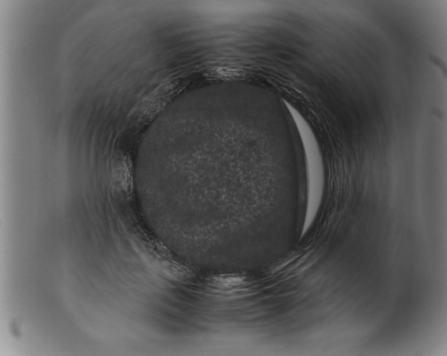 X0000099470651200805231831