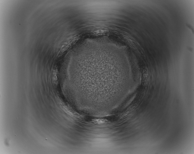 X0000099470654200805231831