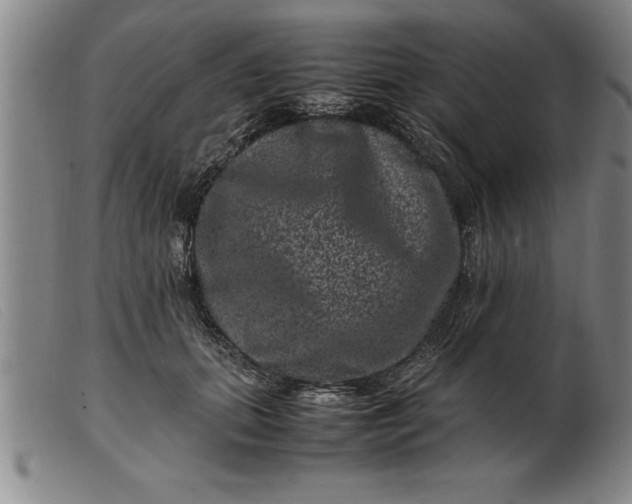 X0000099470655200805231831