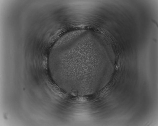 X0000099470656200805231831