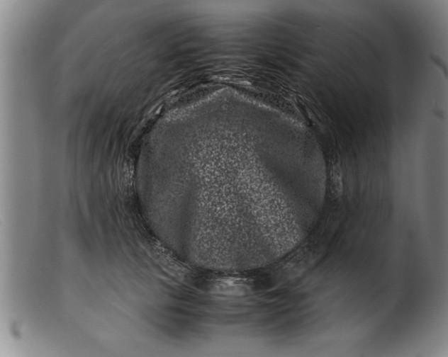 X0000099470657200805231831