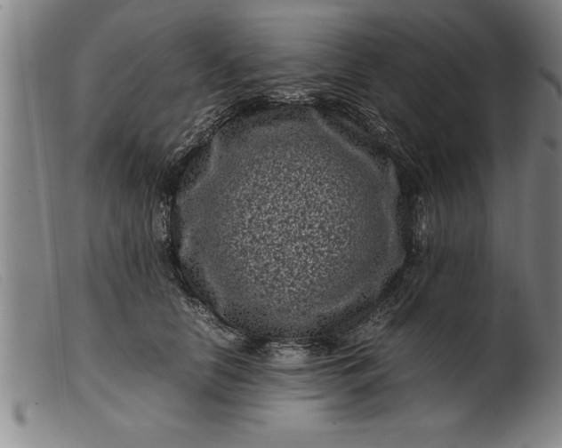 X0000099470658200805231831