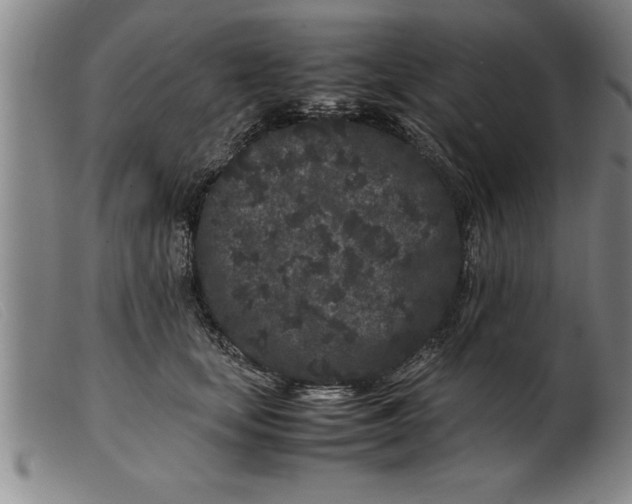 X0000099470659200805231831