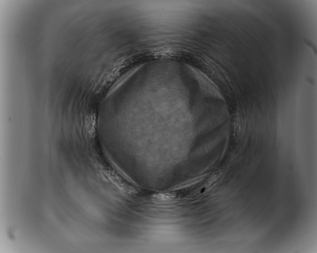 X0000099470660200805231831